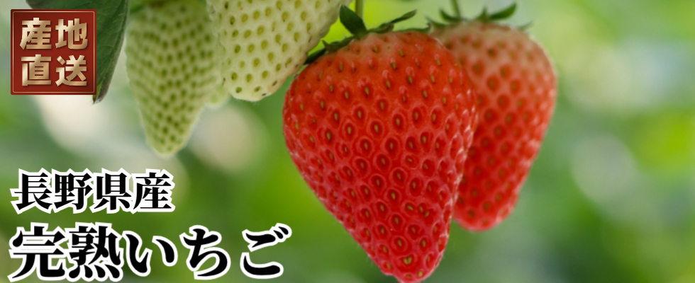 早生みかん
