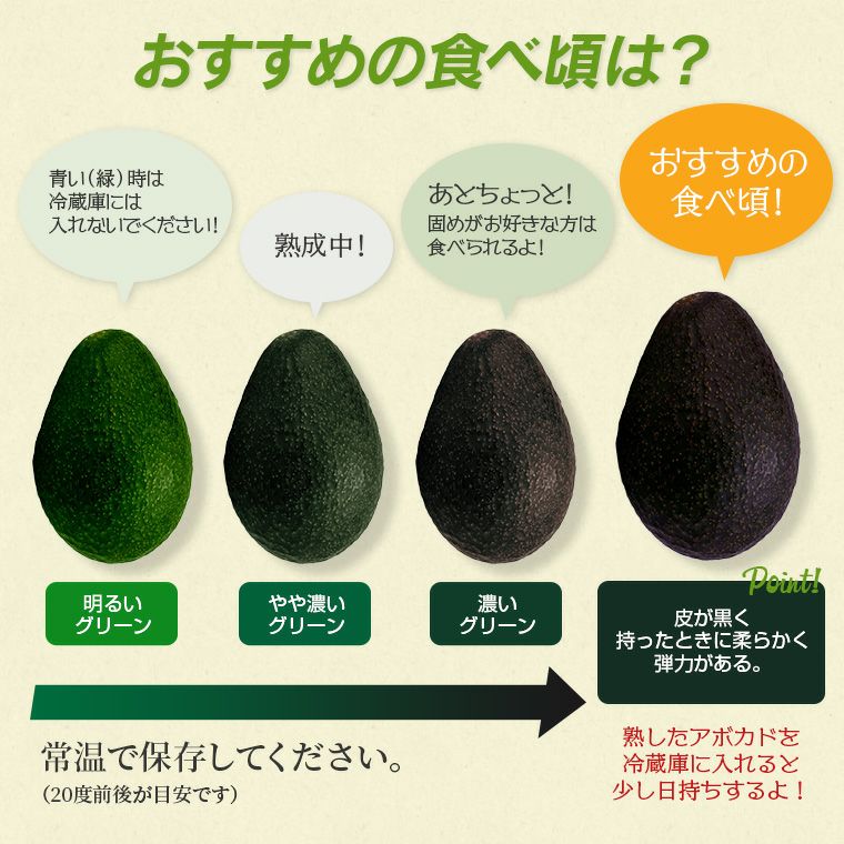 プレミアムリッチアボカド 1ケース（18～20玉） | スミフルの美味しい