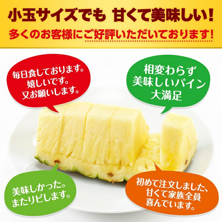 葉無し小玉 甘熟王パイン 20玉 | スミフルの美味しいマルシェ