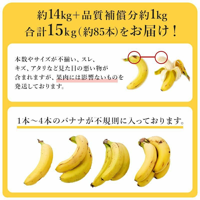定期便】業務用訳あり甘熟王バナナ 約15kg | スミフルの美味しいマルシェ