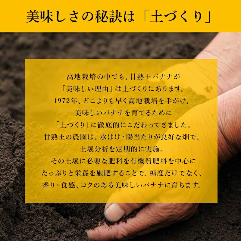 スミフル 甘熟王 通販 バナナ オフィス 大量