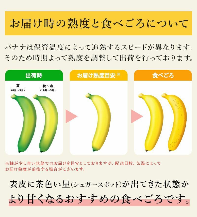 定期便】業務用訳あり甘熟王バナナ 約15kg | スミフルの美味しいマルシェ