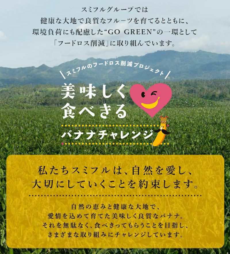ゆうさん専用　バナナTV10枚セット 10本セット】TVで話題 佐藤商店のバナナ