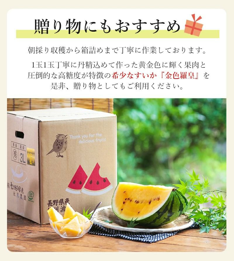 特大！金色羅皇4L2玉セットご家庭用19〜21k箱込　かめまる食堂 北海道産 金色羅皇 2Lサイズ以上 1玉 5.5-6.5kg前後 金色羅皇 スイカ