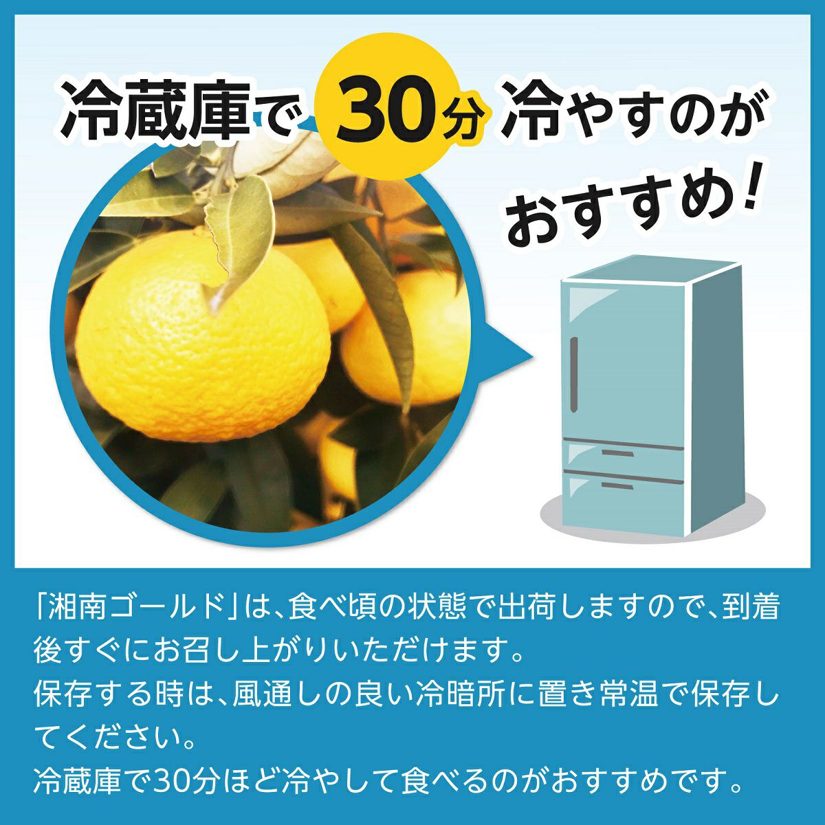 湘南ゴールド 約2.0kg | スミフルの美味しいマルシェ