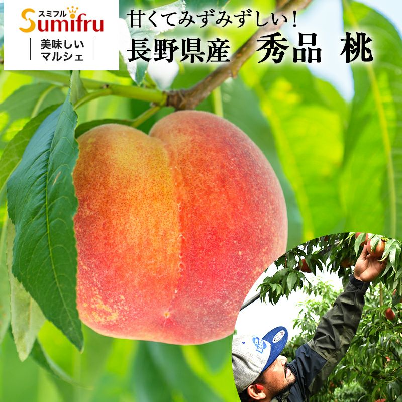 桃 | スミフルの美味しいマルシェ