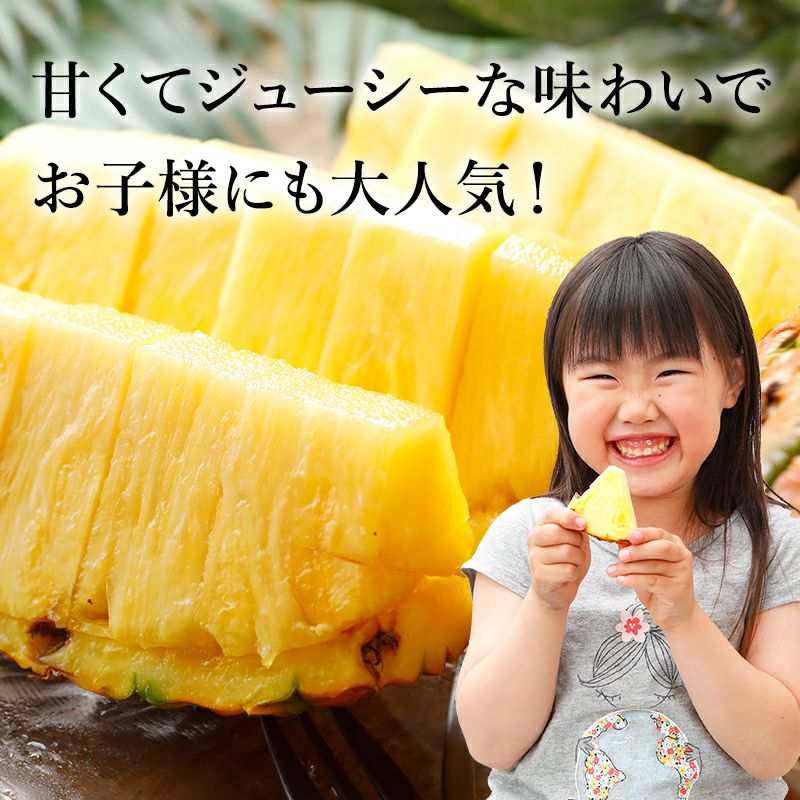甘熟王ゴールドプレミアムパイン約3.2kg（2玉） | スミフルの美味しい