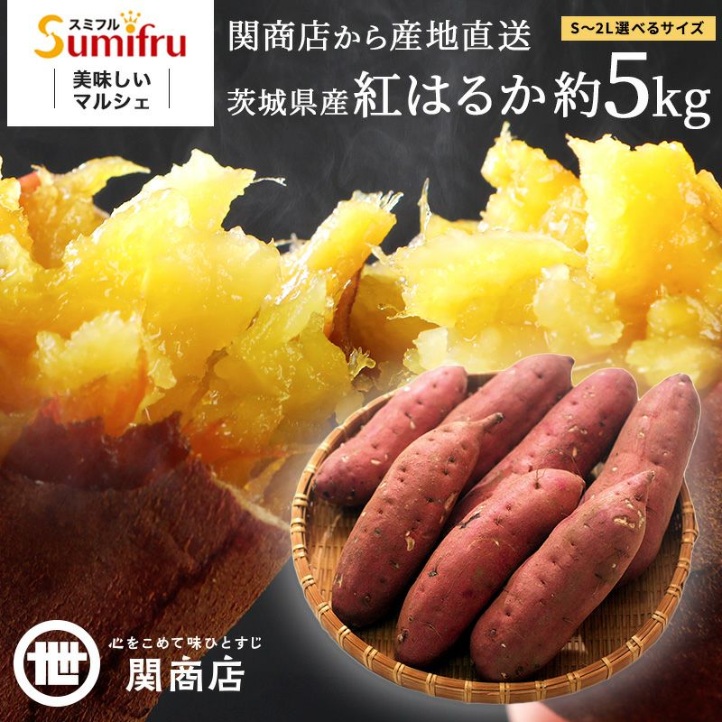 紅はるか 秀品 約5kg 選べる4サイズ | スミフルの美味しいマルシェ