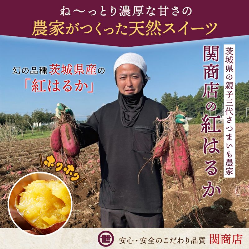 紅はるか 秀品 約5kg 選べる4サイズ | スミフルの美味しいマルシェ