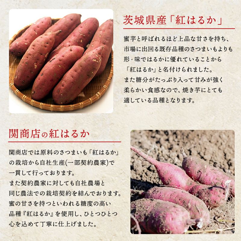 紅はるか 秀品 約5kg 選べる4サイズ | スミフルの美味しいマルシェ