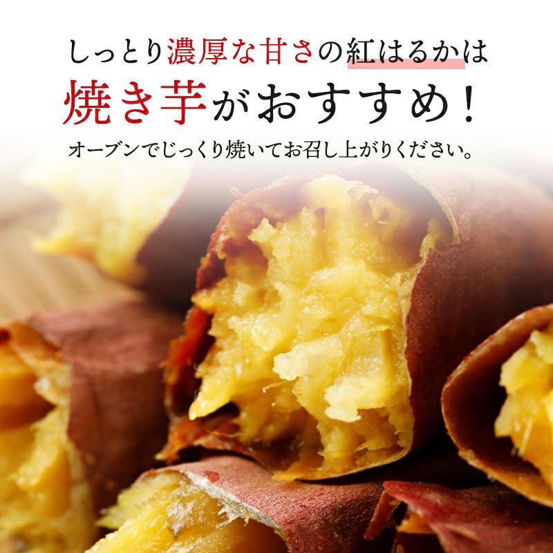 紅はるか 秀品 約5kg 選べる4サイズ | スミフルの美味しいマルシェ