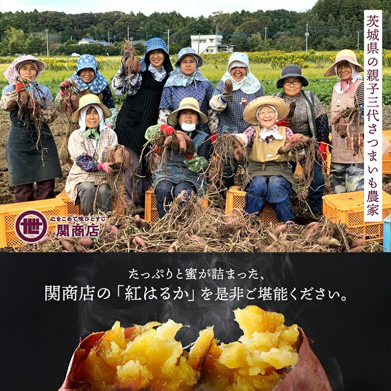 紅はるか 秀品 約5kg 選べる4サイズ | スミフルの美味しいマルシェ