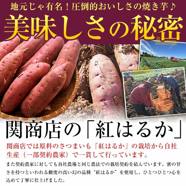 紅はるか 冷凍焼き芋 3.0kg(500g×6袋) | スミフルの美味しいマルシェ