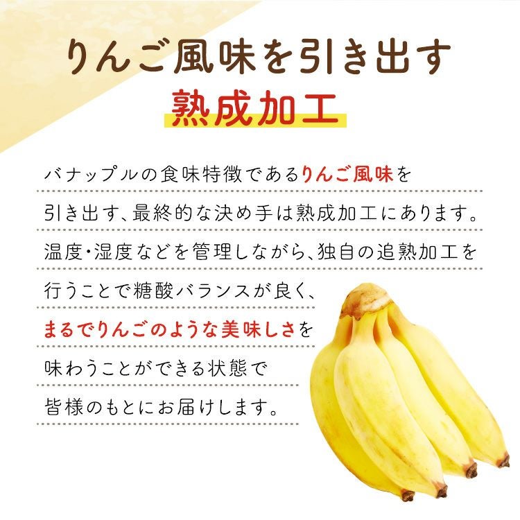 りんご風味のバナナ 【バナップル 4パック】 | スミフルの美味しいマルシェ