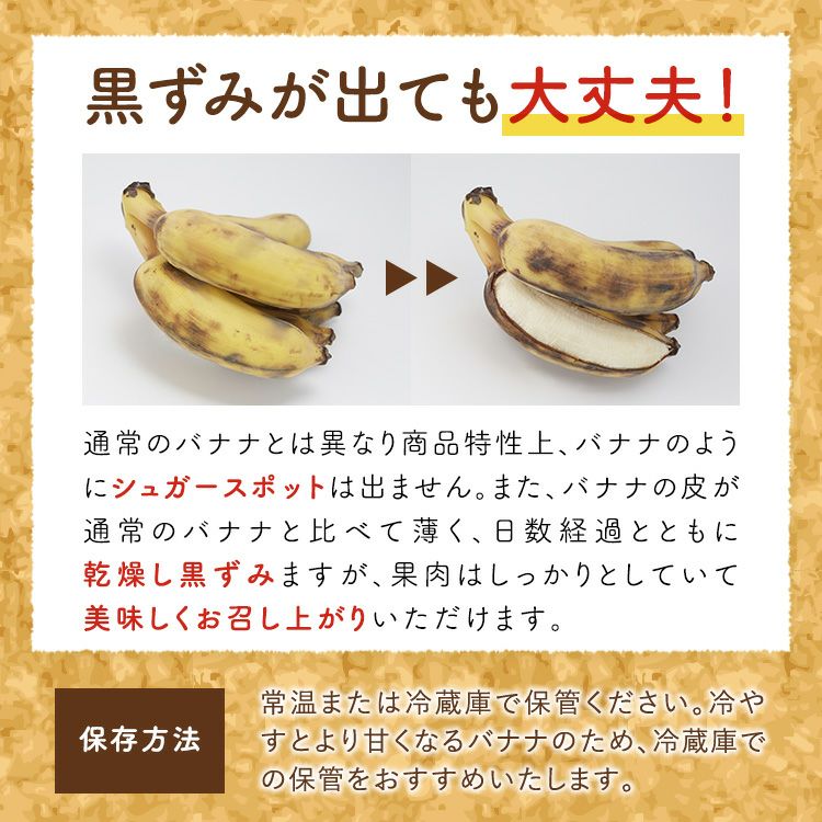 りんご風味のバナナ 【バナップル 4パック】 | スミフルの美味しいマルシェ