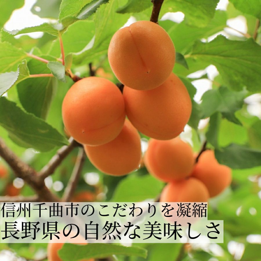 セミドライあんず＆干しあんず食べ比べセット (各1袋) | スミフルの