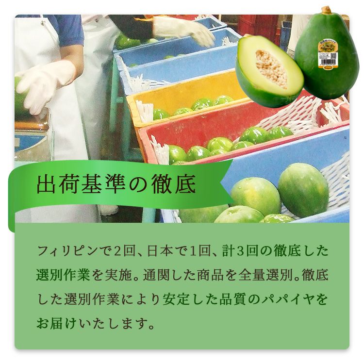 青パパイヤ 4玉 | スミフルの美味しいマルシェ