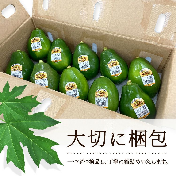 青パパイヤ 4玉 | スミフルの美味しいマルシェ