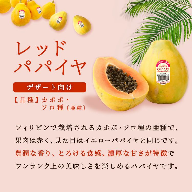 レッドパパイヤ 3玉 | スミフルの美味しいマルシェ