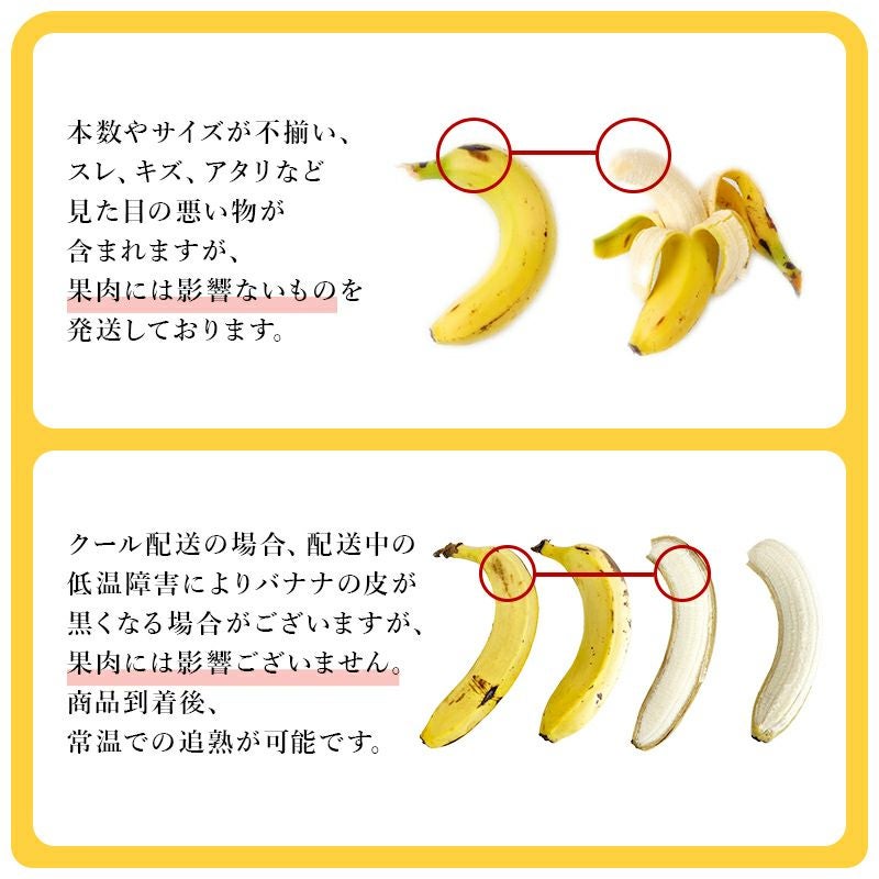 スマイル甘熟王バナナ 約5kg | スミフルの美味しいマルシェ