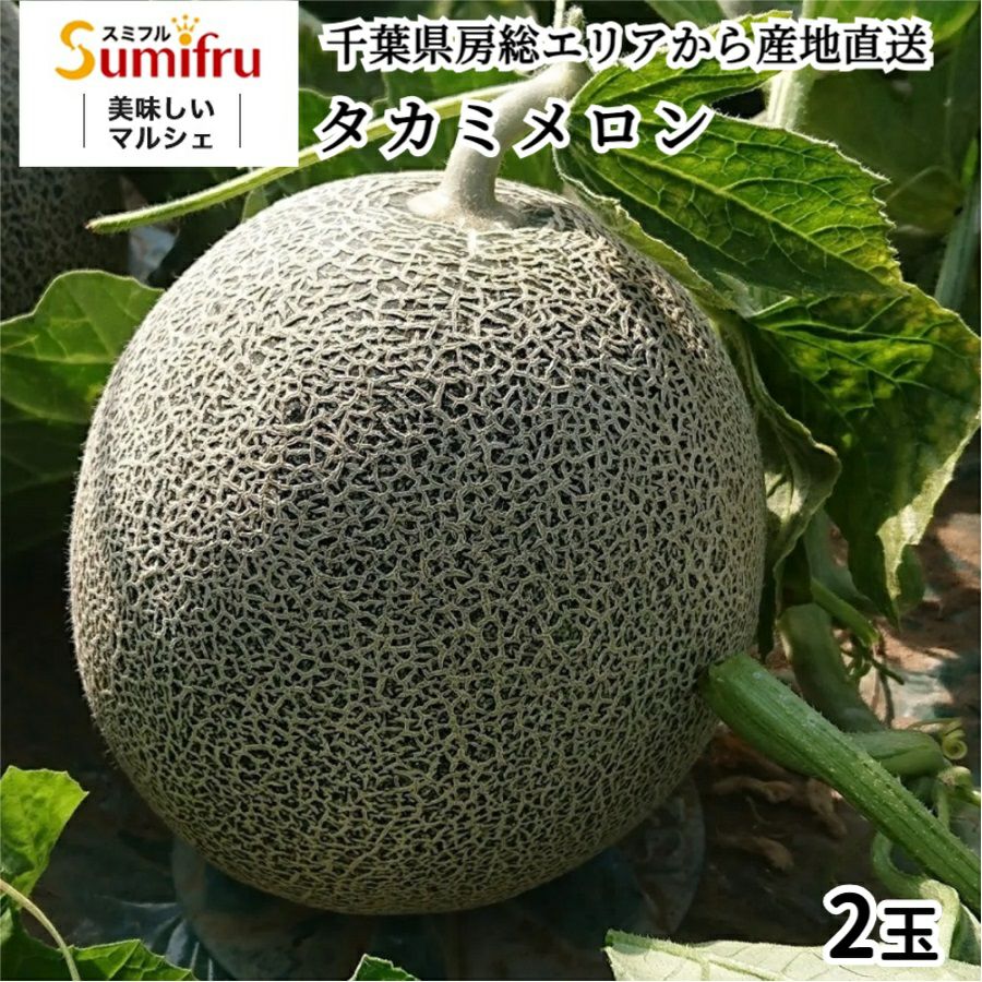 タカミメロン 【大玉青肉2玉入り】 | スミフルの美味しいマルシェ