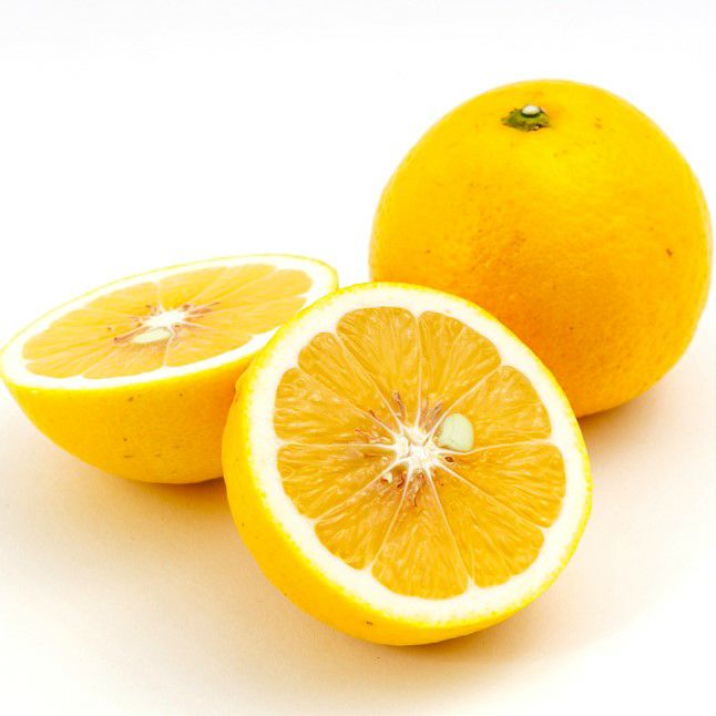 宮崎県産 日向夏 産地直送