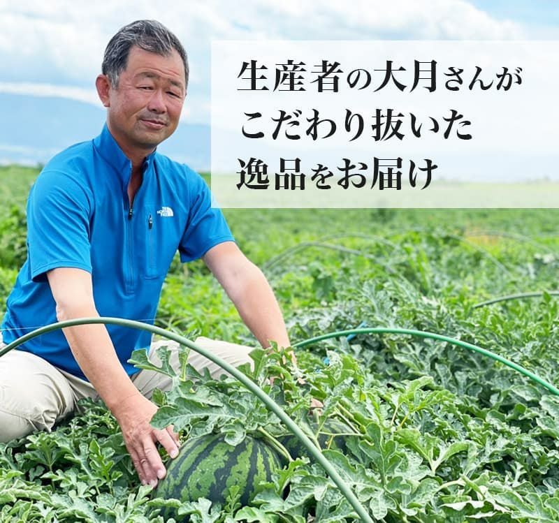 高地栽培完熟すいか 1玉(2Lサイズ) | スミフルの美味しいマルシェ