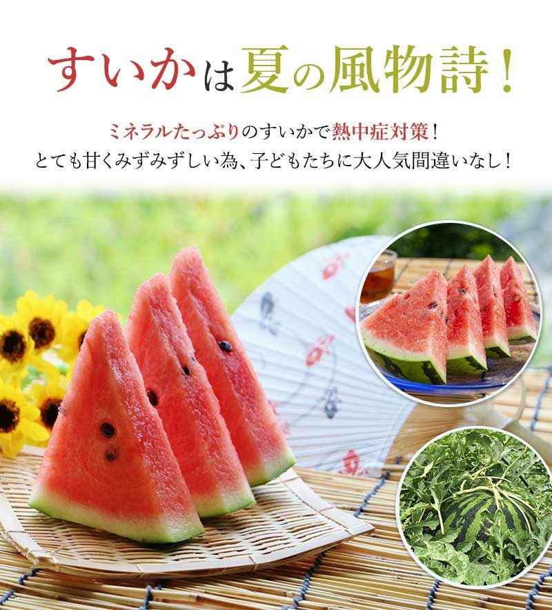 高地栽培完熟すいか 1玉(2Lサイズ) | スミフルの美味しいマルシェ