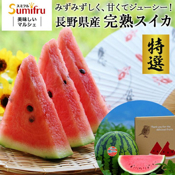 000000000377-01.jpg?size=m&w=