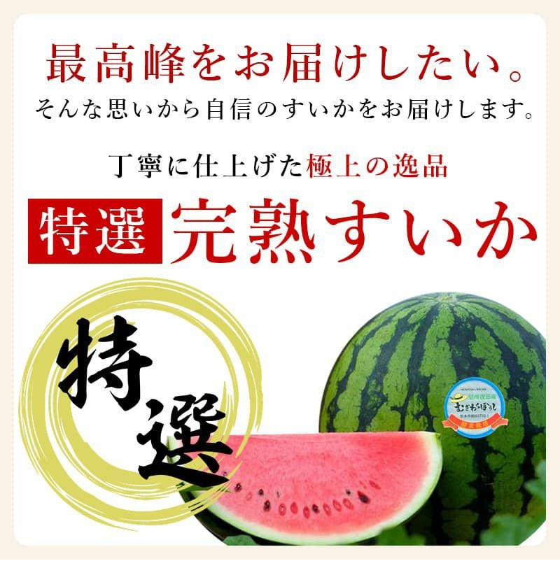 特選完熟すいか 1玉(4Lサイズ) | スミフルの美味しいマルシェ