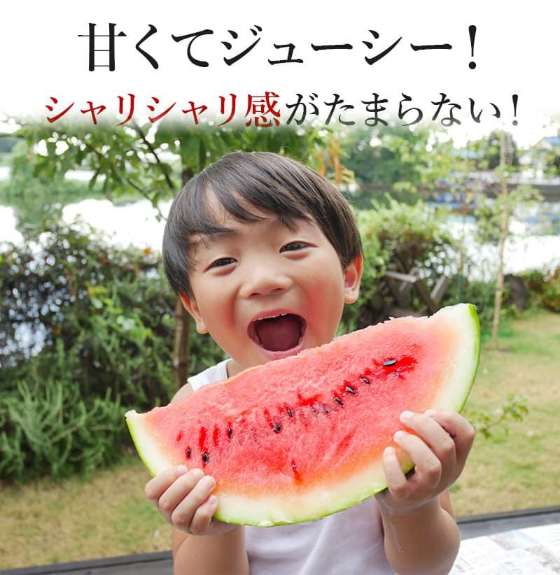 特選完熟すいか 1玉(4Lサイズ) | スミフルの美味しいマルシェ