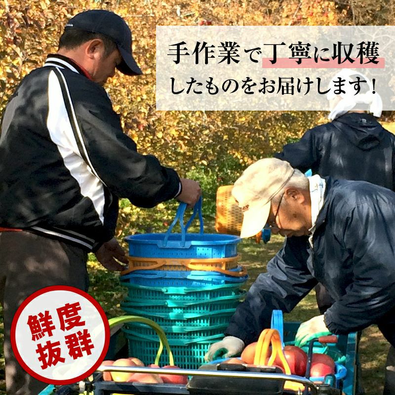 完熟りんご 約3kg(むぎわらぼうし) | スミフルの美味しいマルシェ
