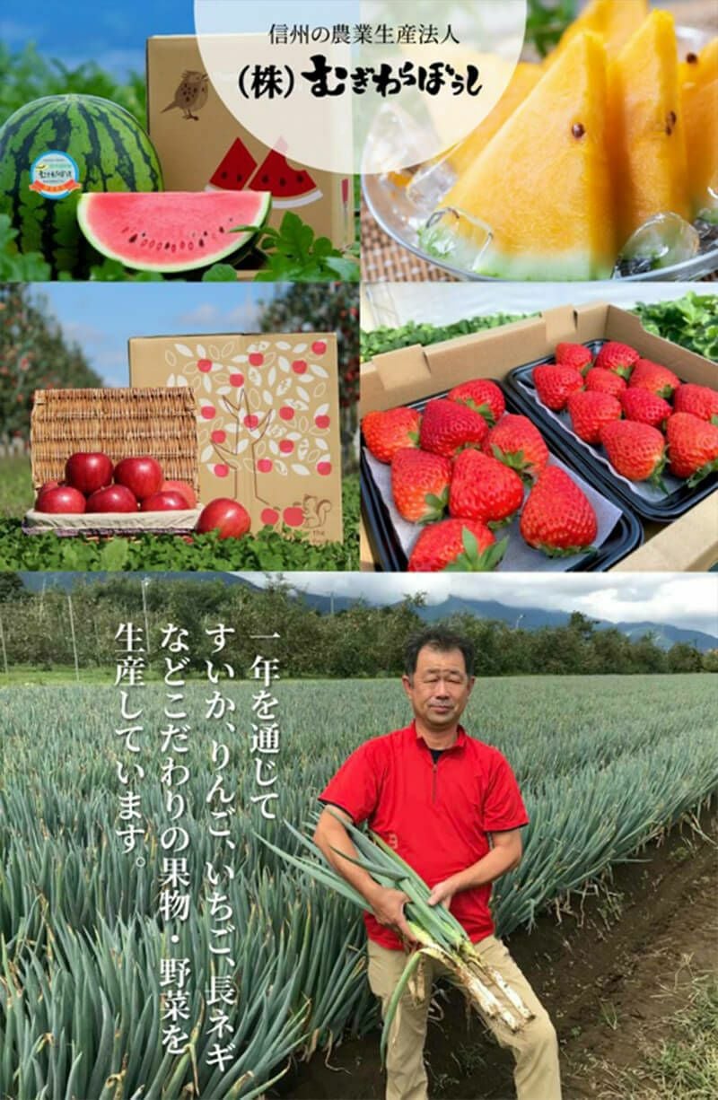 完熟りんご 約3kg(むぎわらぼうし) | スミフルの美味しいマルシェ