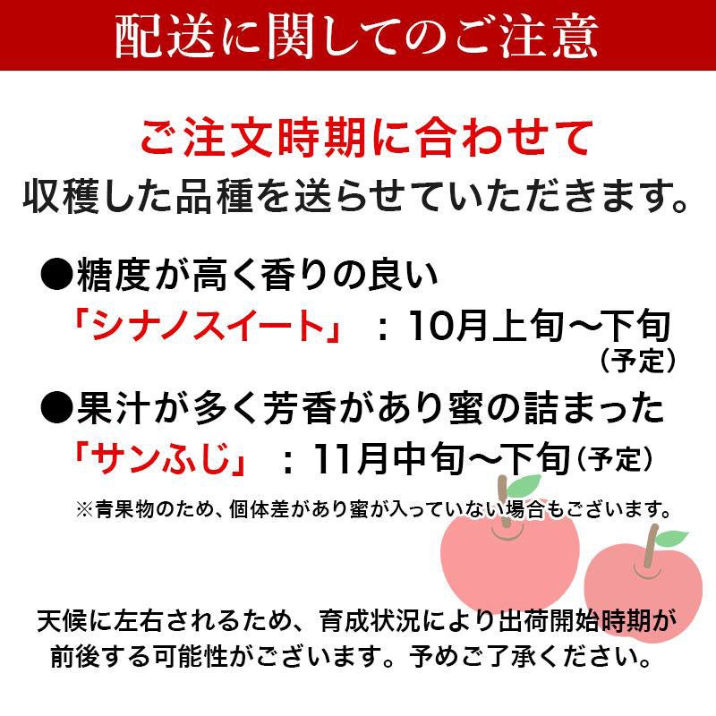 長野県産 完熟 リンゴ 5kg