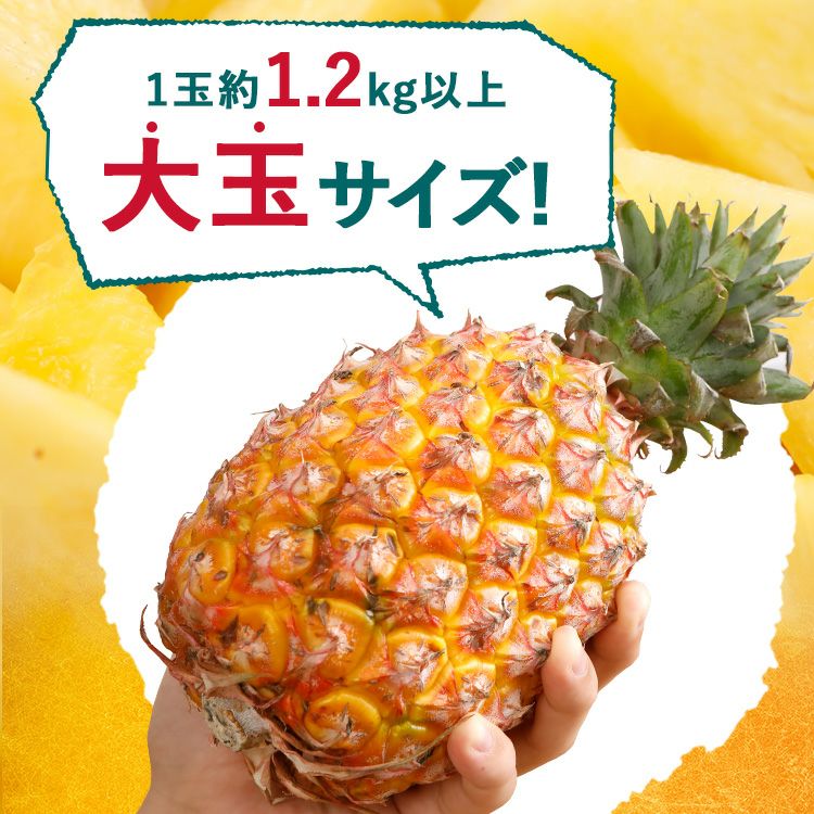 台湾パイン 金鑚王 3玉 | スミフルの美味しいマルシェ 台湾パイン 金鑚王 3玉 | スミフルの美味しいマルシェ