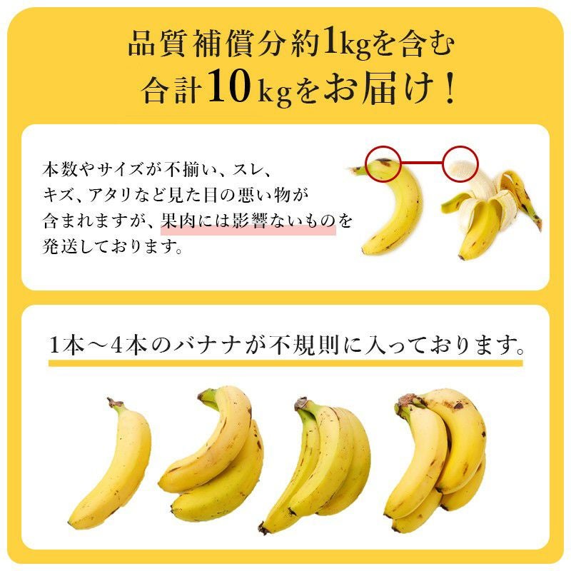 スマイル甘熟王バナナ 約10kg | スミフルの美味しいマルシェ