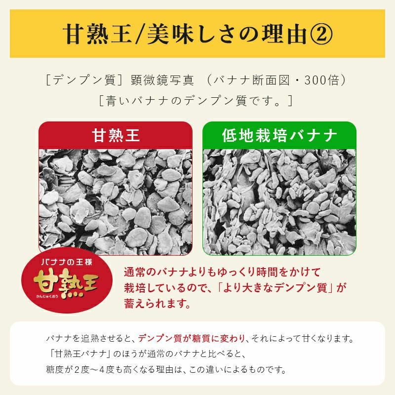 スマイル甘熟王バナナ 約10kg | スミフルの美味しいマルシェ