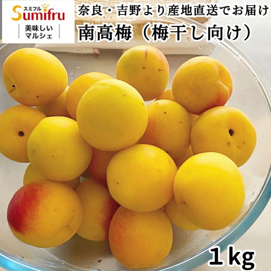 特別栽培 黄梅 1kg 南高梅 | スミフルの美味しいマルシェ