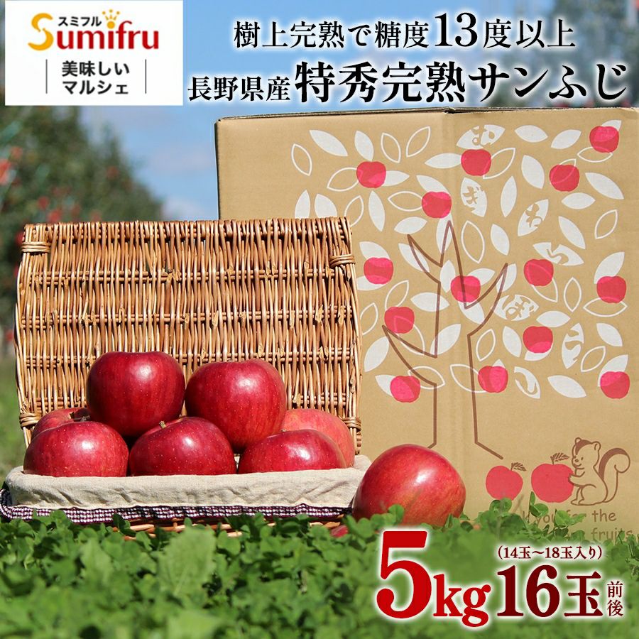 (えりんこ) junmikami リブ カットソー 新品 えりんこ様専用) junmikami リブ カットソー 新品 【公式通販】