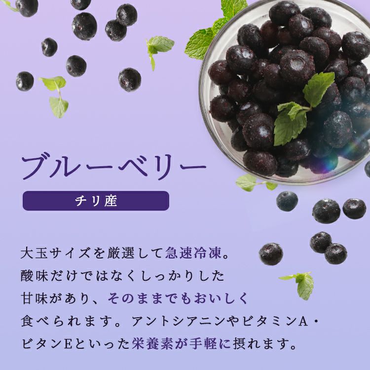 冷凍ブルーベリー 500g 2袋～4袋 | スミフルの美味しいマルシェ